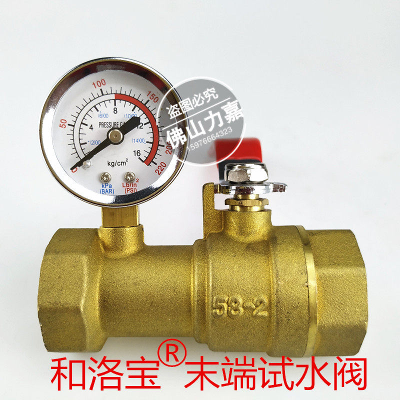 和洛宝消防末端试水阀消防水管喷淋雨淋试水试压装置黄铜阀门DN25