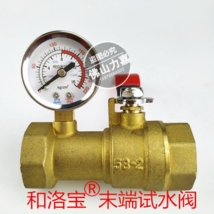 和洛宝消防末端试水阀消防水管喷淋雨淋试水试压装置黄铜阀门DN25