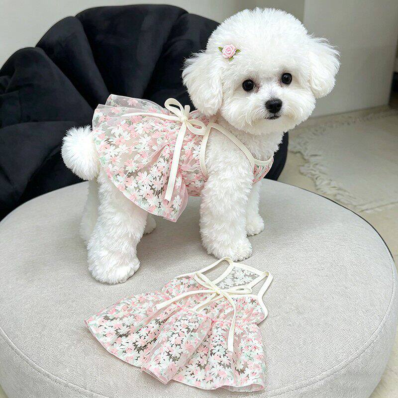 比熊狗狗衣服樱花公主裙吊带裙防掉毛小型幼犬泰迪约克夏马尔济斯图片