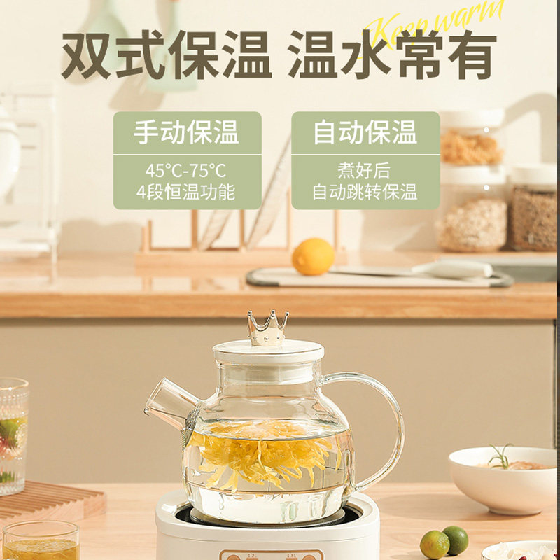 煮水果茶的玻璃锅专用茶壶套装容器热红酒锅器皿家用电陶炉器具壶