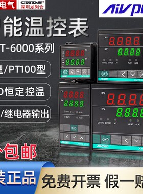 温度控制仪器XMTG-6000安培XMTD A E数显SSR继电器K型PT100