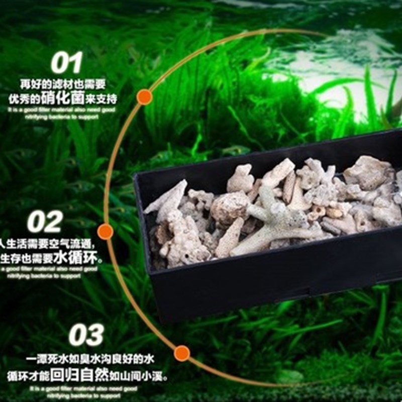 天然过滤材料水族箱造景珊瑚骨 珊瑚砂 优质鱼缸珊瑚石底砂珊瑚沙