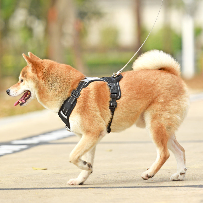 狗狗牵引绳防爆冲夜间反光遛狗绳子柴犬柯基多功能背心式胸背带新