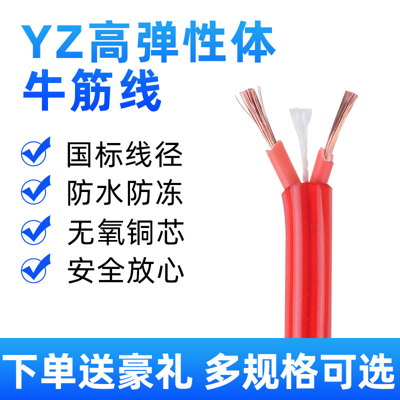 户外工作三芯电源线插排线2芯2.5平方4方 纯铜防冻防水牛筋电缆线