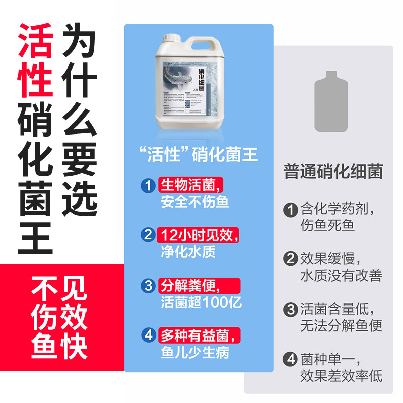 硝化细菌鱼缸用龙鱼硝化菌消化活菌em原液鱼池锦鲤专用净水除藻剂