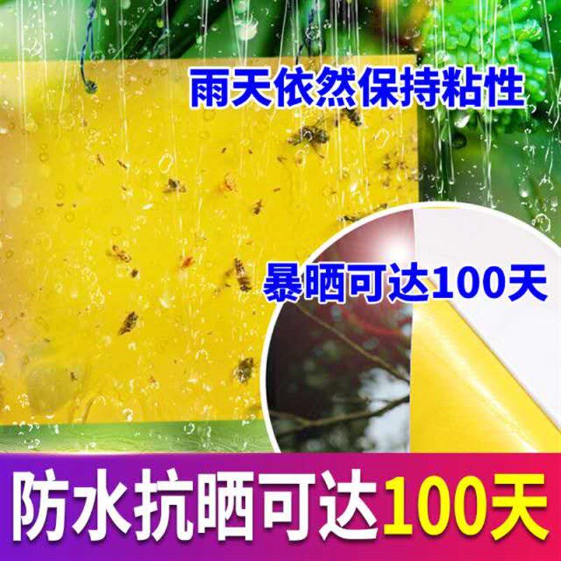 达豪农庄宝果蝇诱粘板 瓜果桔实蝇苍蝇贴板针蜂害虫粘胶100张包邮