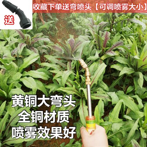 往复式水枪伸缩喷雾杆抽t拉喷枪来复水枪农用打药浇花喷水杆喷雾