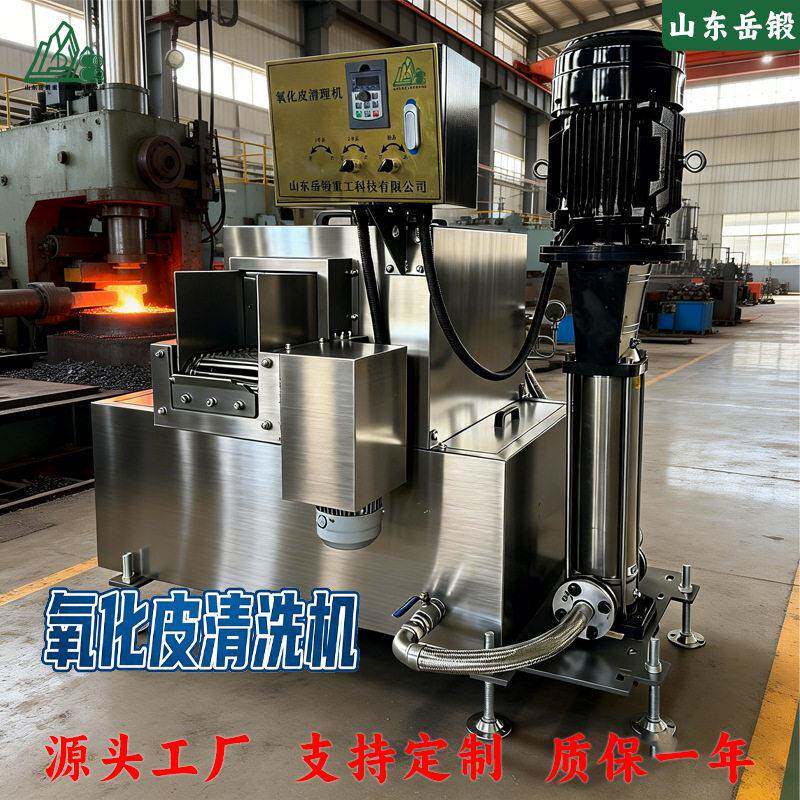 氧化皮清洗机除磷机斜盘泵长寿命黄铜/紫铜锻件氧化层