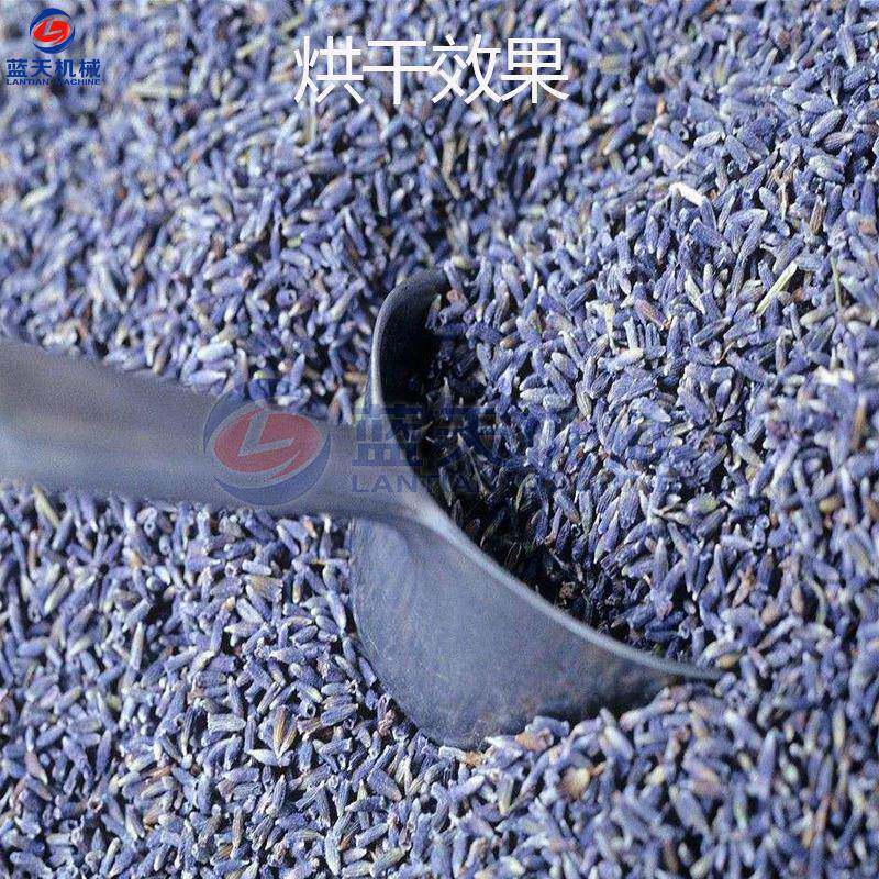 空气能热 香泵薰衣草烘干机热风循环灵草烘干房 香黄香草草干蓝天