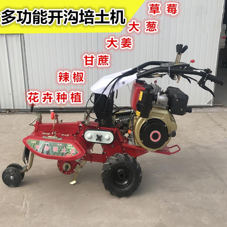 甘蔗草开莓大葱种机械起垄机 田园管AYS培理沟植机 自走式柴油土