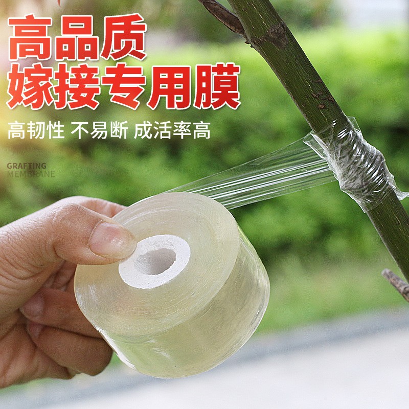 自粘嫁接膜苗木果树嫁接专用膜无需打结薄膜包装膜嫁接绑带包扎带