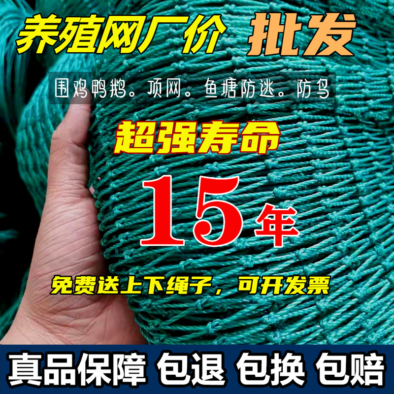 围网安全塑料网养殖网户外养鸡网尼龙网安全拦鸡网围鸡网护栏网