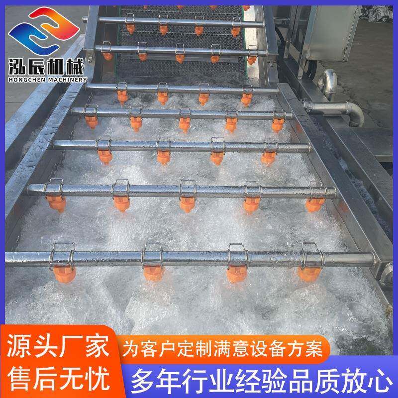 自动蔬清洗机全设果备 供应海菇清洗机设鲜备 海带SJZ气泡清洗机