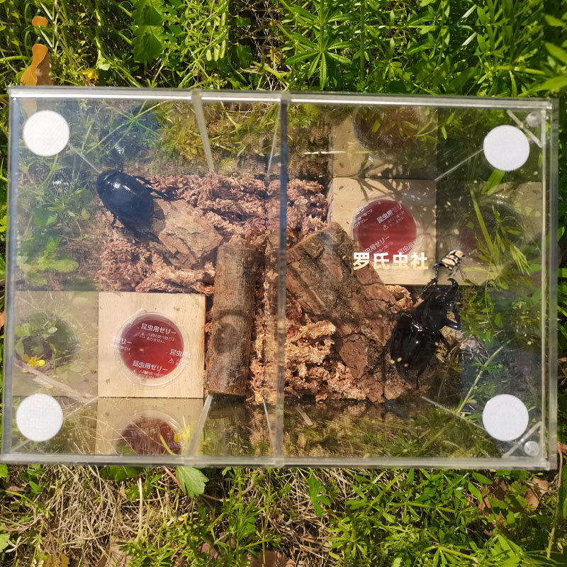 亚克力甲虫饲养盒独角仙锹甲兜虫透明饲养箱宠物昆虫造景缸套餐