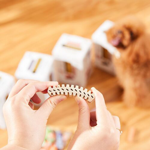 丹特医生狗狗洁齿骨成犬幼犬宠物磨牙棒清洁牙齿洁牙棒零食洁齿棒