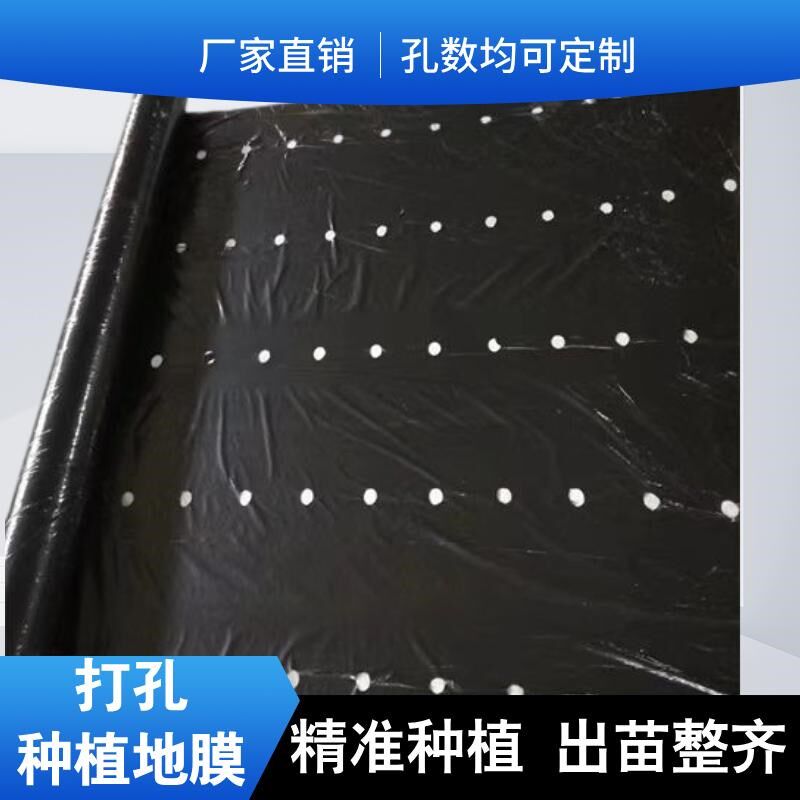 黑地膜农用打孔塑料膜种植专用银黑色除草加厚薄膜圆孔果园反光膜