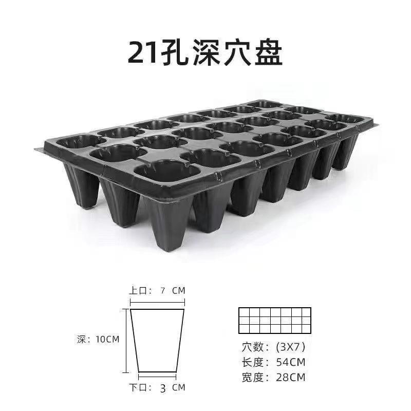 加深高脚育苗盘穴盘草莓月季樱桃林木加厚穴盘21孔32孔50孔育苗盘