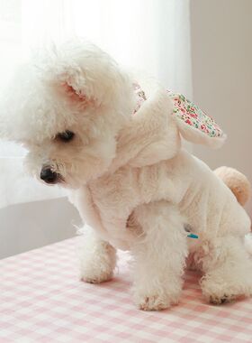 狗狗秋冬加厚保暖泰迪博美比熊幼犬中小型犬可爱装猫咪兔毛衣服
