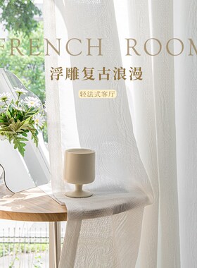 法式浮雕轻奢高级感客厅白色窗帘纱帘不透人新款阳台美式遮阳窗纱