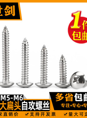 M5M6不锈钢304大扁头十字槽自攻螺丝钉伞蘑菇头空调外机维修木头