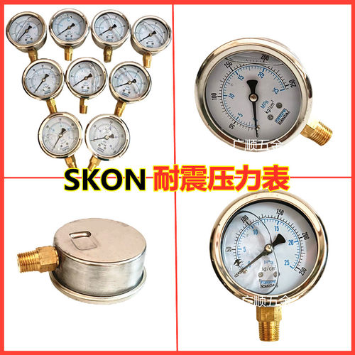 油压表 抗震压力表 skon 径向 油表 60表面 1/4 M2分牙 YN60-250K