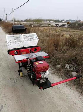 型农业大葱移栽器 座驾式拖IPE苗移木小植机 拉机牵引式大葱移苗