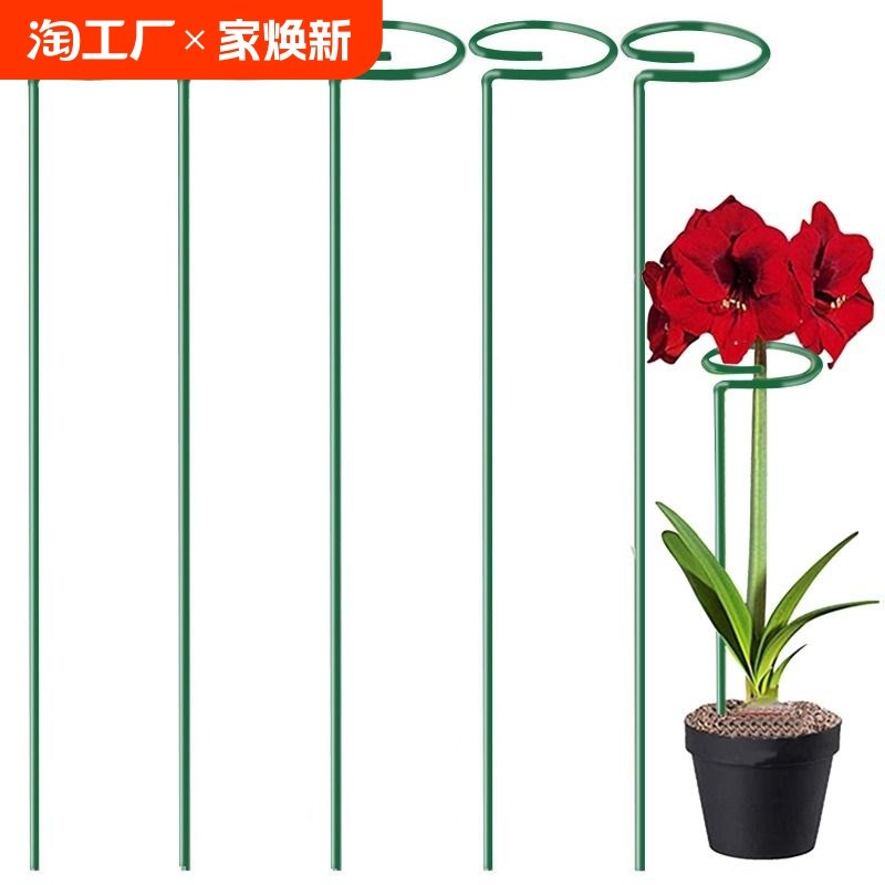 植物支撑绣球蝴蝶兰花架子固定架月季爬藤防倒伏铁艺花架桌面护花图片