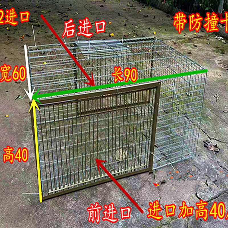 鸽子撞门鸽子活络门笼撞门鸽笼铁笼只进不出跳笼天落笼撞门自动门
