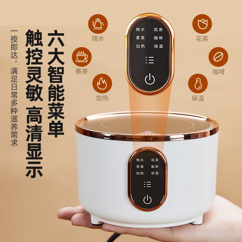 电陶炉养生壶新款高颜值家用全玻璃小型多功能炖煮一体花茶烧水壶