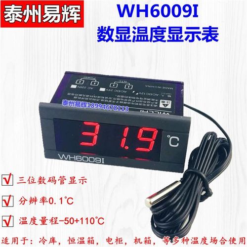 汽车冷藏库用测温仪高精度电子数显温度计12V220V供电温度表WH600