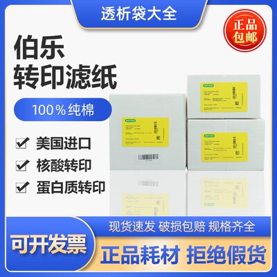 伯乐Bio-Rad转印滤纸1703932/1703965/1703967/1703969/1703966
