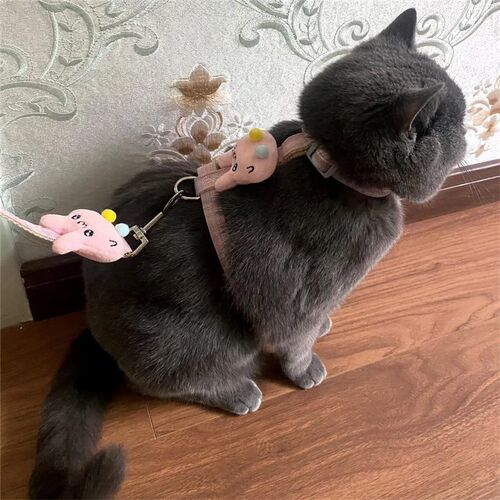 猫咪牵引绳猫绳子防挣脱猫绳工字型溜猫绳子猫咪外出网红遛狗绳子