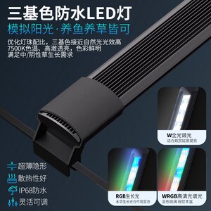 新款侧滤超白玻璃鱼缸客厅桌面中小型生态水族箱南美风造景溪流缸