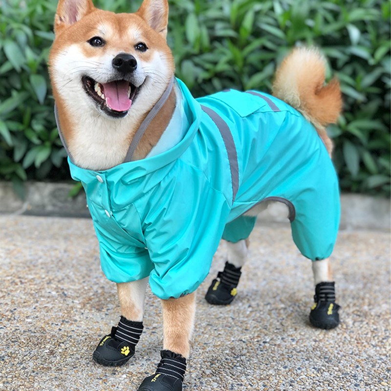 小型犬狗雨衣四脚宠物雨天衣服夏防水肚兜不湿柯基中型犬泰迪雨批