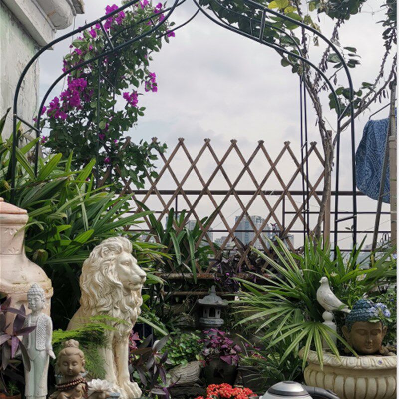 花架铁艺拱门花架葡萄月季铁线莲爬藤架特大庭院花架攀爬花支架