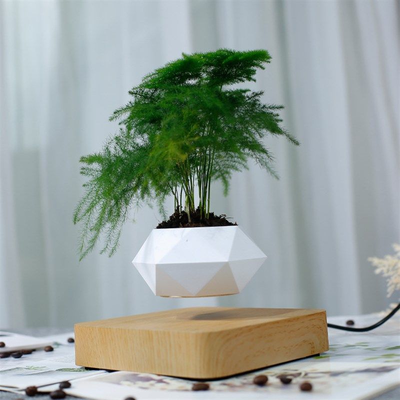 磁悬浮盆栽 空中盆栽植物悬空花盆客厅办公室创意摆件桌面装饰品