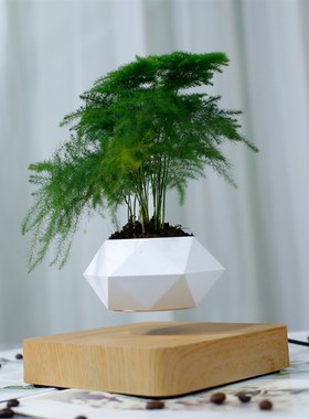 磁悬浮盆栽 空中盆栽植物悬空花盆客厅办公室创意摆件桌面装饰品