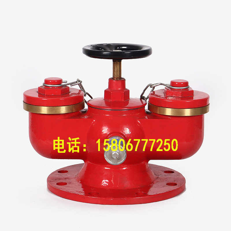 国标SQD100/65多用式地下消防水泵接合器 多功能新式水泵结合器