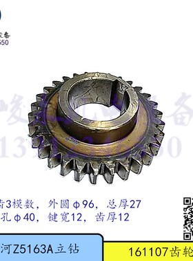 大河立钻Z5163A Z5180A立钻配件 变速箱 变速齿轮161107 二轴齿轮
