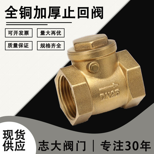 卧式止回阀 全铜单向阀 逆止阀 止回阀 4分6分1寸 DN50 65 80 100