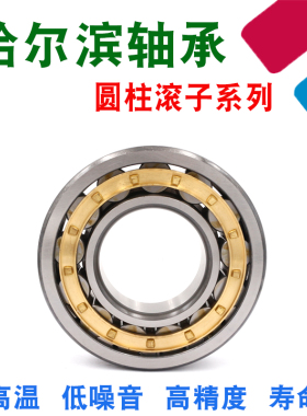 哈尔滨圆柱滚子轴承NF 252 256 260 EM