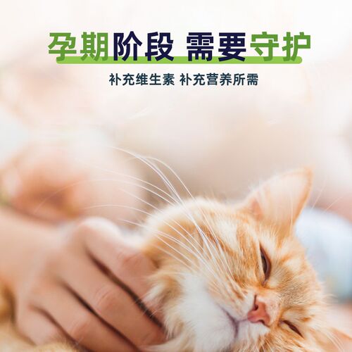 宠物大本营猫咪维生素b防掉毛狗狗营养补充宠物猫用复合维生素片