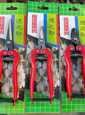 德之助摘水果修剪树枝剪刀稀果剪花椒剪园艺工具疏花蔬果剪窝子剪