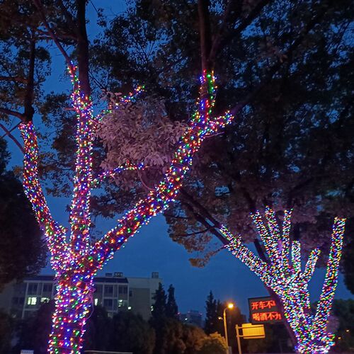 24v插电彩灯闪灯串灯满天星阳台婚庆装饰灯户外防水氛围灯挂灯