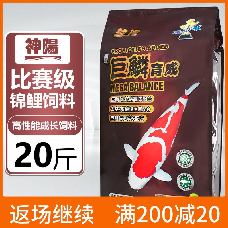 神阳巨鳞锦鲤鱼饲料赛级高蛋白育成艳红增色增体低水温锦鲤鱼食