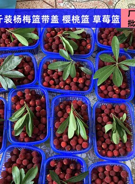 2斤装塑料水果篮子带盖子草莓篮杨梅篮桑葚篮樱桃小篮子方蓝手提