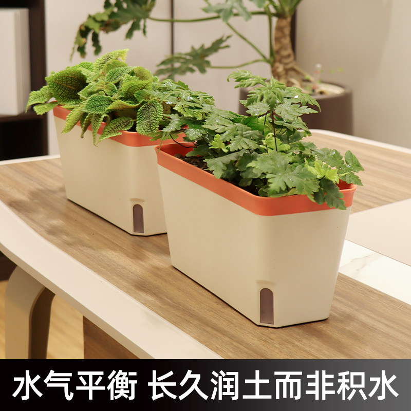 室内阳台自吸水小花盆种菜种植箱菜盆青菜小葱香菜栽种辣椒专用盆