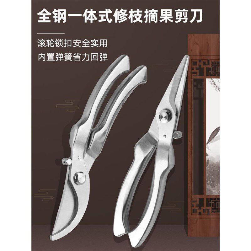 园艺剪枝剪刀修枝剪不锈钢果树园林树枝盆景修剪造型专用剪子工具图片