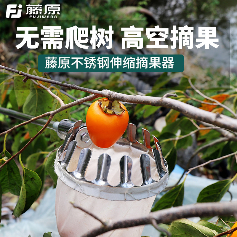 藤原不锈钢摘果器枇杷枣柿子杨梅高空采摘器多功能摘果工具伸缩杆