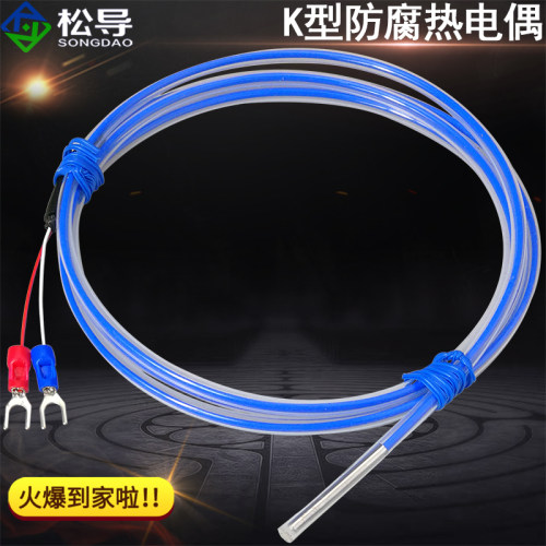 K型防腐热电偶特氟龙Pt100热电阻酸碱池电镀厂用温度传感器探头